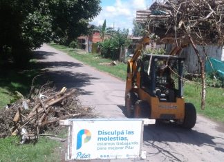 Trabajos de limpieza, zanjeo y fumigación en barrios de Pilar