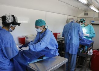 Cronograma del quirófano veterinario móvil en 2019
