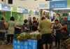 El Mercado en tu Barrio reabre sus puertas