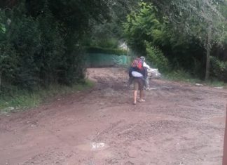 Vecinos denuncian calles abandonadas en Los Cachorros