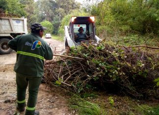 Cronograma de recolección de poda, chatarra, escombros y limpieza