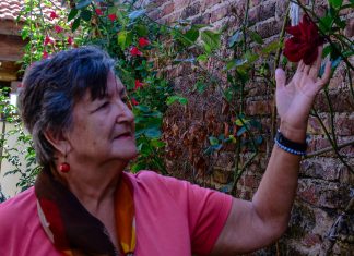 María Haydeé Lemos presenta su nuevo libro
