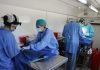 Cronograma del Quirófano Veterinario Móvil