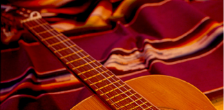 Guitarra Criolla folklore
