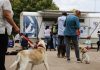 Quirófano Veterinario Móvil en diciembre quirófano veterinario móvil en Diciembre