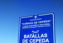 Batalla de Cepeda: La batalla de los diez minutos