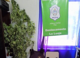 Desbaratan banda dedicada a las entraderas