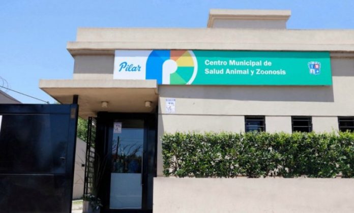 814c5fa8cc246f42c53a91bddf076dee_L Vuelven las castraciones, la noticia fue comunicada por la Asociación para la Defensa de los Derechos del Animal Pilar