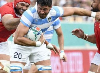 Cinco casos de coronavirus entre Los Pumas pumas