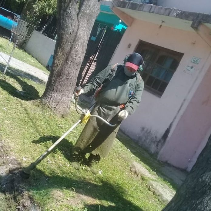 Reporte del 5-11 Reporte del 5-11