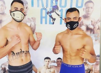 Elías Haedo vuelve al ring para despedir el 2020