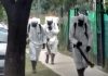 Coronavirus en Pilar: 144 contagiados 144 contagiados
