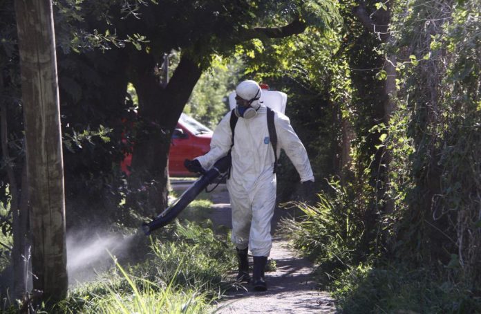 118 vacunados 118 recuperados