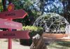 Pellegrini: el Municipio inaugura Parque Pilar parque pilar