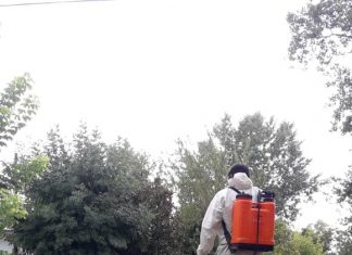 Coronavirus en Pilar: 19 contagiados y 345 nuevos vacunados 19 contagiados