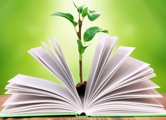 Diputados dio media sanción al proyecto de Ley de Educación Ambiental media sanción