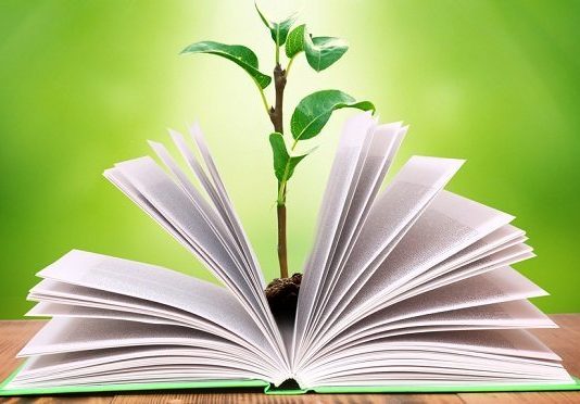 Diputados dio media sanción al proyecto de Ley de Educación Ambiental media sanción