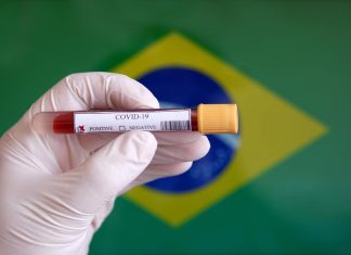 Detectan en Brasil una nueva cepa de coronavirus Brasil nueva cepa de coronavirus