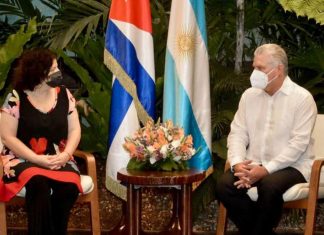 Carla Vizzotti se reunió con el presidente cubano Díaz-Canel