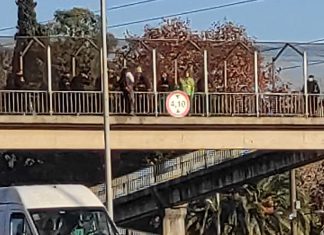 Insólito: Un Hombre protesta colgado en un puente de Panamericana