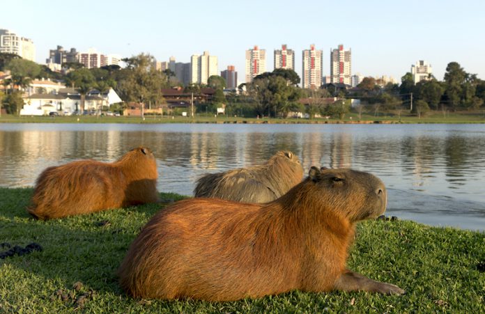 national geographic
