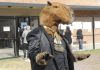 Un hombre fue a votar vestido de carpincho de carpincho