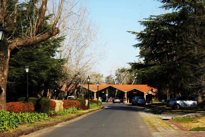lagartos