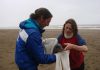 Costa bonaerense: la fauna marina hallada muerta en la orilla aumentó casi un 50% muerta en la orilla
