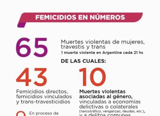 Se produjeron 65 muertes violentas de mujeres, travestis y trans en lo que va del año