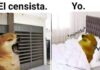 El Censo 2022 y los memes más originales El Censo 2022 y los memes más originales