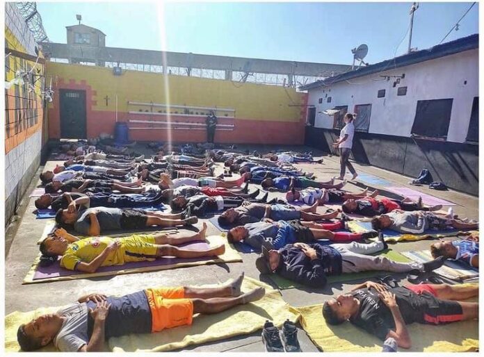 yoga serenarte