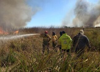 Incendios en Buenos Aires, Santa Fe y Entre Ríos: nueve focos permanecen activos Incendios en Buenos Aires, Santa Fe y Entre Ríos: nueve focos permanecen activos