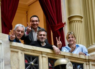 Achával acompañó la sesión especial de Diputados