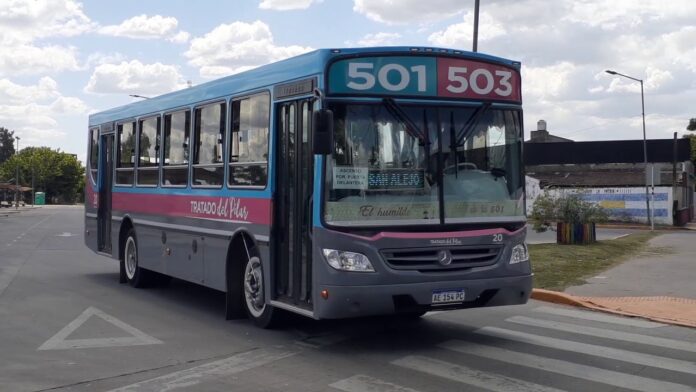 colectivos volverán a prestar servicio nocturno colectivos volverán a prestar servicio nocturno