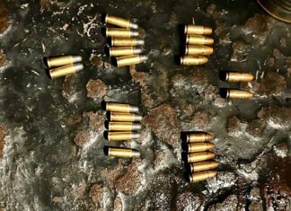 Policía de Pilar rescata nueve caballos de polo robados y desarticula banda