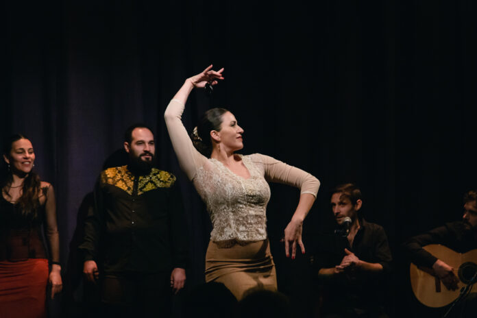 IMG_9949-2 Noche de Flamenco y Danza Española en el Teatro Ángel Alonso