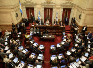 DNU de Milei: los senadores debaten el decretazo, después de que el oficialismo intentara postergar la discusión