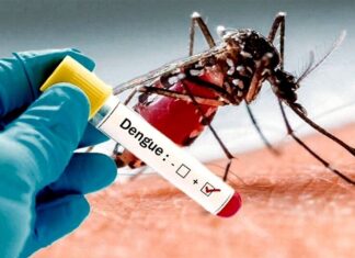 Comienza la vacunación gratuita contra el dengue en la Provincia de Buenos Aires Comienza la vacunación gratuita contra el dengue en la Provincia de Buenos Aires