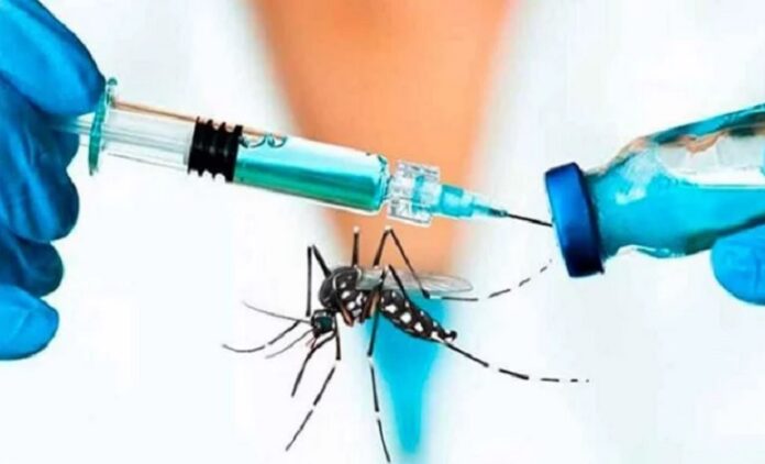 dengue La Provincia de Buenos Aires amplía la vacunación para prevenir el dengue