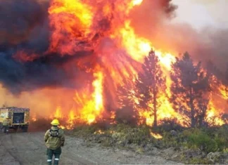 Axel Kicillof envía ayuda a la Patagonia para combatir los incendios forestales Axel Kicillof envía ayuda a la Patagonia para combatir los incendios forestales