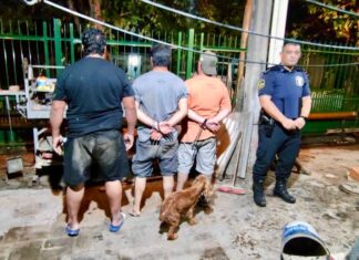 Entraderas en Manzanares: cayó banda tras robo armado Entraderas en Manzanares: cayó banda tras robo armado