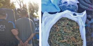 Del Viso: detuvieron a dos hombres con más de 200 gramos de marihuana en la vía pública Del Viso: detuvieron a dos hombres con más de 200 gramos de marihuana en la vía pública