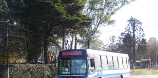 Advierten que la frecuencia de colectivos seguirá cayendo Advierten que la frecuencia de colectivos seguirá cayendo