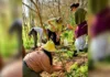 La Reserva Natural de Pilar realizará una jornada de plantación de especies nativas y cuidado del humedal La Reserva Natural de Pilar realizará una jornada de plantación de especies nativas y cuidado del humedal