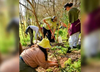 La Reserva Natural de Pilar realizará una jornada de plantación de especies nativas y cuidado del humedal La Reserva Natural de Pilar realizará una jornada de plantación de especies nativas y cuidado del humedal