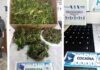 Derqui: desbaratan un punto de venta de drogas y secuestran cocaína, marihuana y dinero en efectivo Derqui: desbaratan un punto de venta de drogas y secuestran cocaína, marihuana y dinero en efectivo