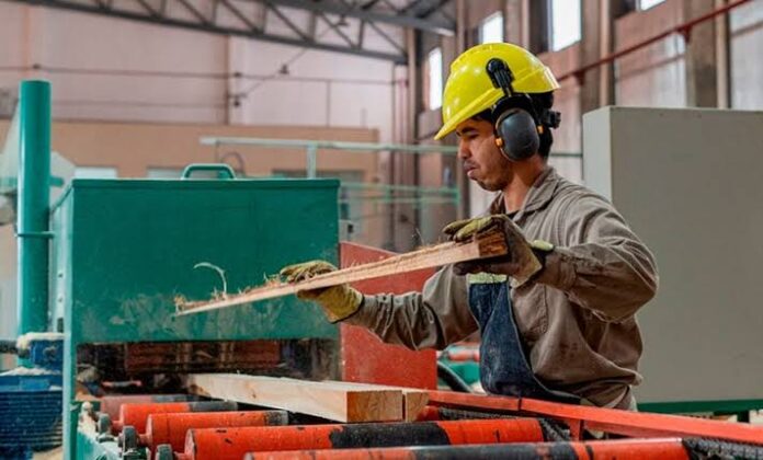 La actividad económica volvió a caer en mayo La actividad económica volvió a caer en mayo: retrocedió 0,5% respecto a abril