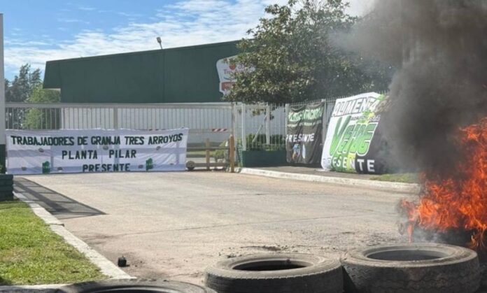 Granja Tres Arroyos prepara despidos para unos 50 trabajadores de su planta de Pilar